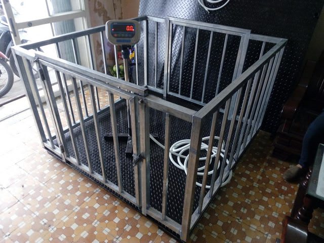 Lồng cân heo