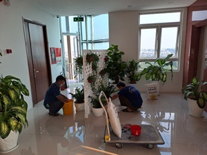 Vệ Sinh Nhà Cửa Trọn Gói
