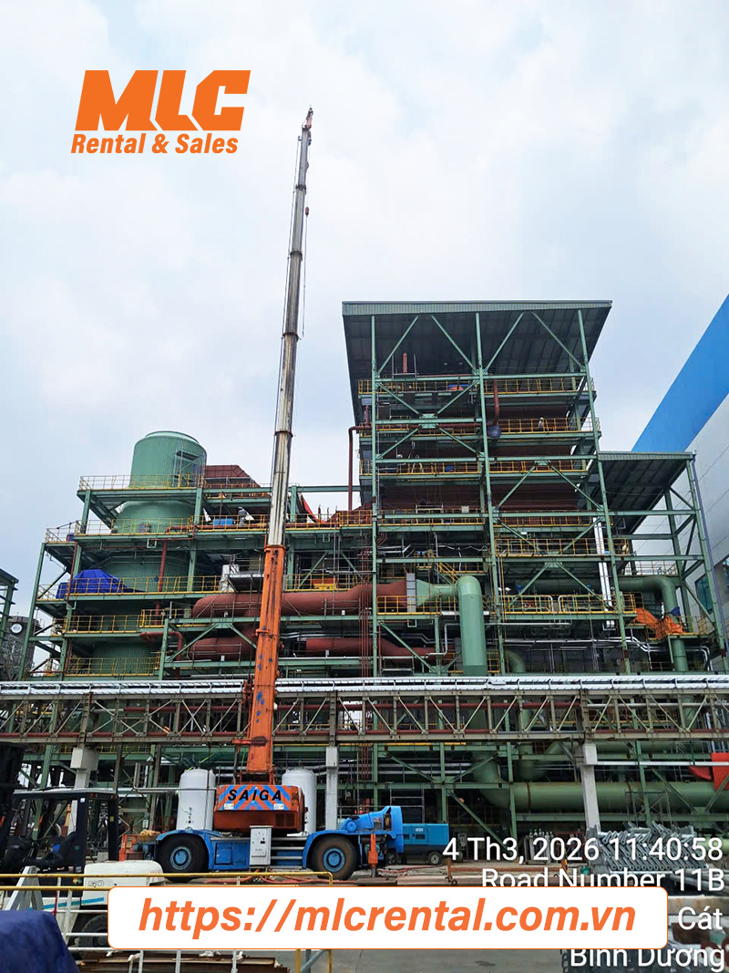 Cho thuê xe cẩu bánh lốp 65 tấn