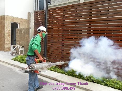 Dịch vụ diệt côn trùng