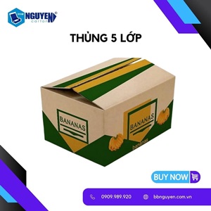 Thùng Carton 5 Lớp