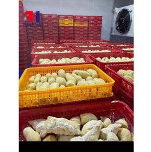 Lắp Đặt Kho Đông Lạnh Sầu Riêng Kem (-20°C đến -30°C)