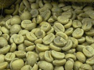 Cà phê hạt nhân Arabica S18