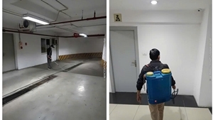 Dịch Vụ Phun Thuốc Diệt Côn Trùng