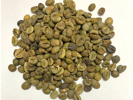 Hạt cà phê xanh Robusta thường