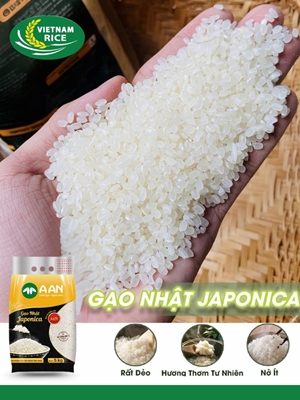 Gạo Nhật Japonica