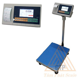 Cân Bàn Điện Tử INDSI Smart Label