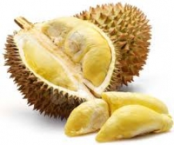 Sầu riêng