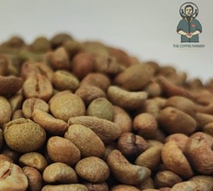 Cà Phê Nhân Fine Robusta - Anaerobic Natural