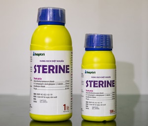 Dung Dịch Diệt Khuẩn Sterina