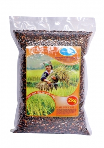 Gạo Nếp Cẩm
