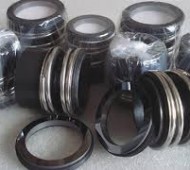 Phốt bơm nước