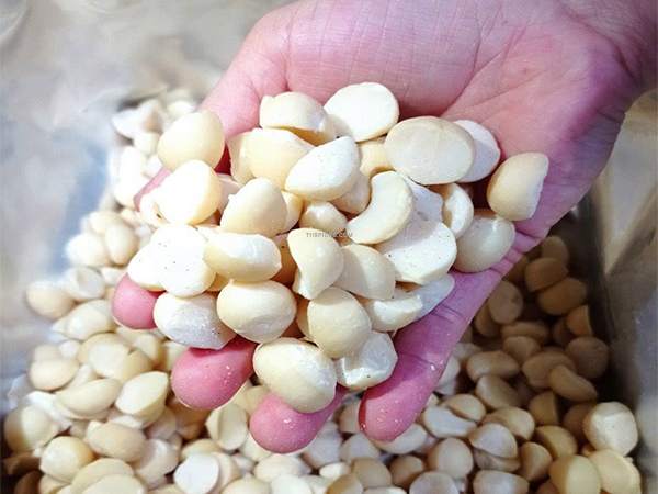 Hạt Macadamia