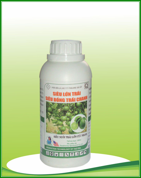 Siêu lớn trái bóng trái chanh