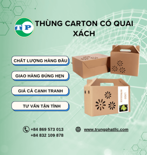 Thùng Carton Có Quai Xách