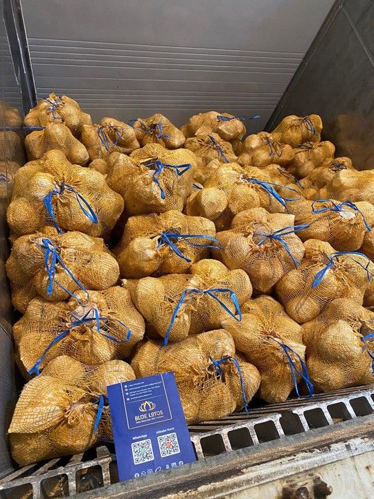 Dừa khô lột vỏ bán phần