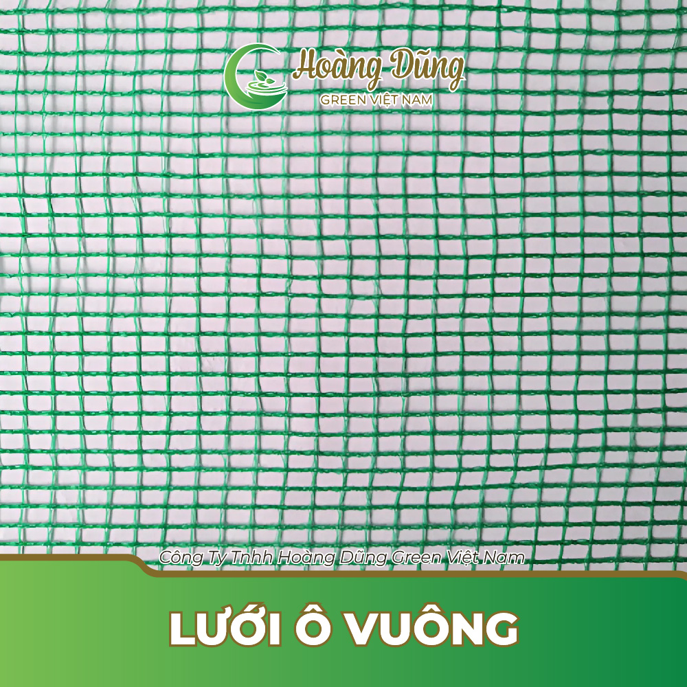 Lưới ô vuông