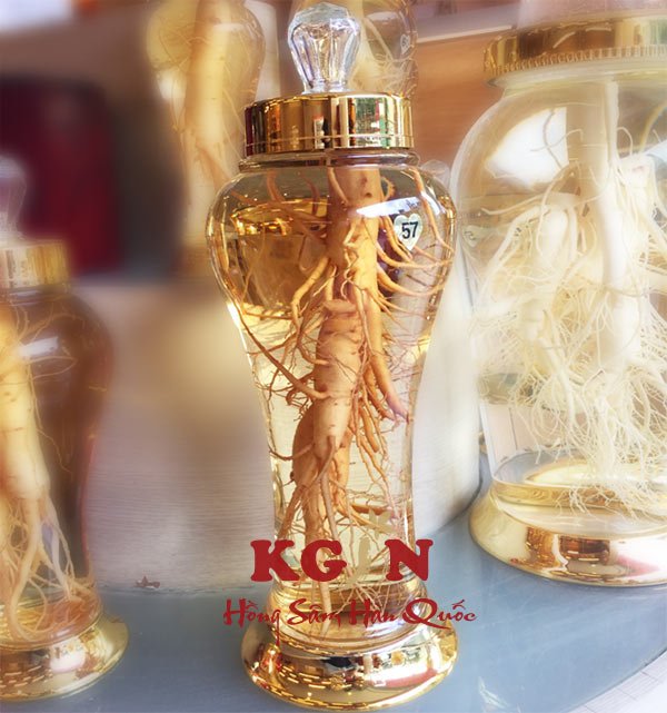 Rượu sâm