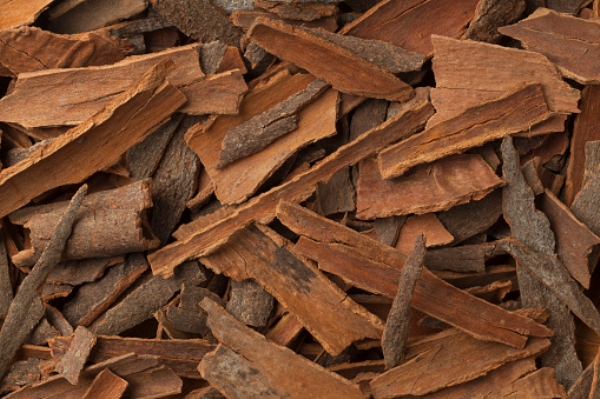 Cinnamon