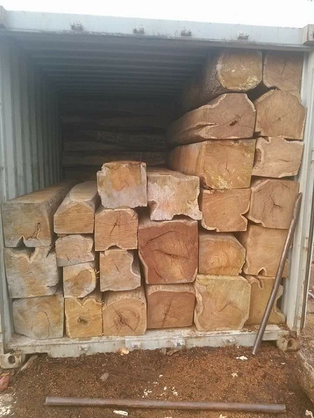 Gỗ Hương Vân Châu Phi