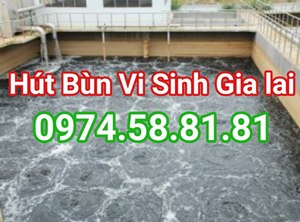 Hút Bùn Vi Sinh