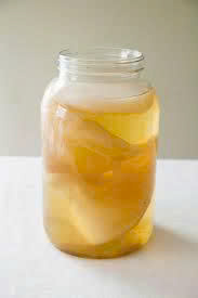 Trà Kombucha