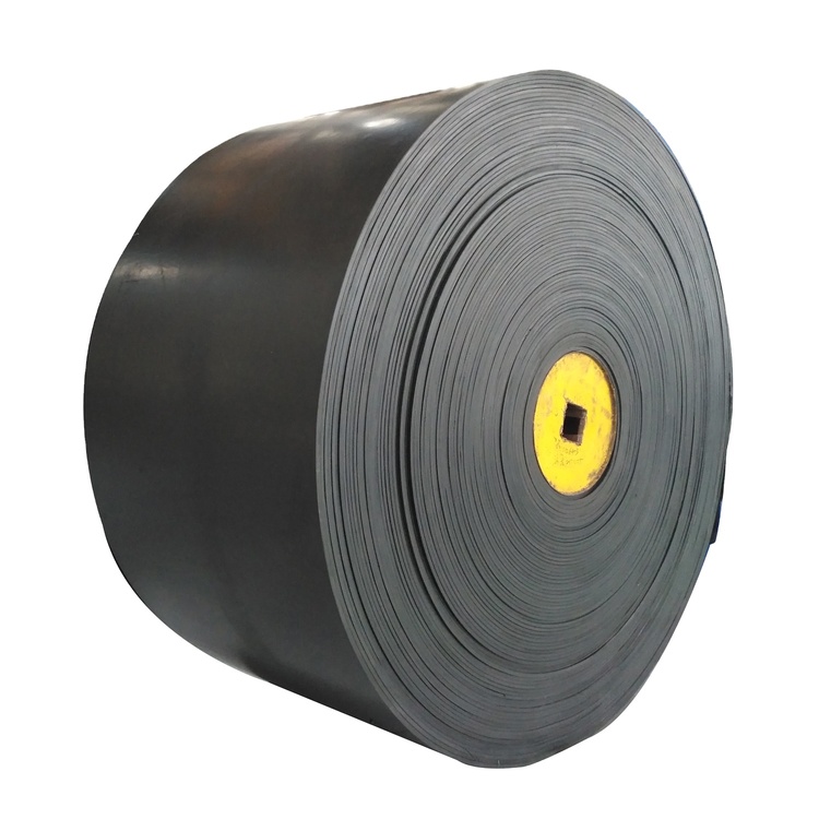 Băng tải Belt