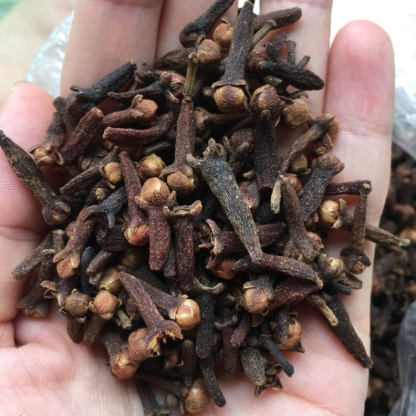 Cloves