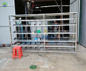 Kệ Đựng Dụng Cụ Inox