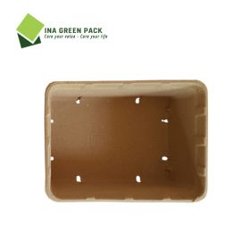 Khay giấy đựng trái cây