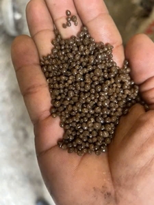 Phân Bón SOIL CONDITIONER
