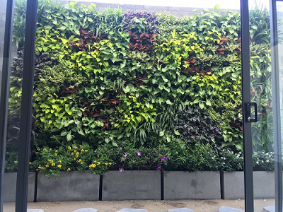 Thiết kế thi công tường đứng