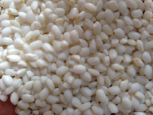 Gạo nếp cái hoa vàng