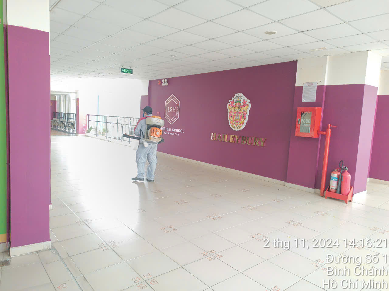 Dịch vụ diệt côn trùng