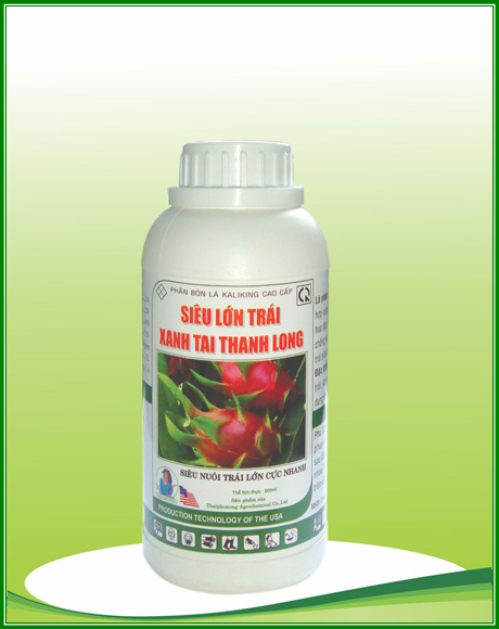 Siêu lớn trái xanh tai thanh long