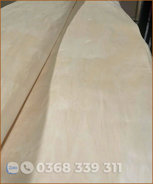 Ván lạng Birch D+