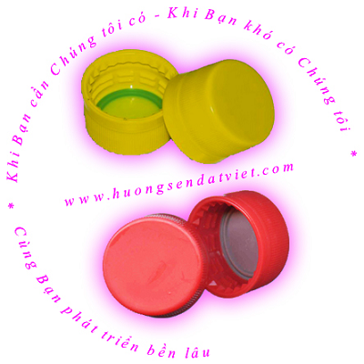 Nắp chai có Gas 28mm