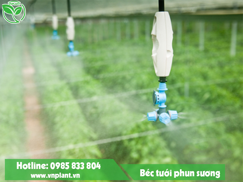 Hệ thống tưới phun sương