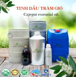Tinh dầu tràm gió