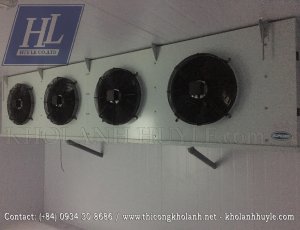 Kho lạnh bảo quản thịt heo