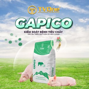 Gapico