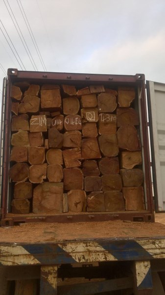 Gỗ Hương Vân Ghana
