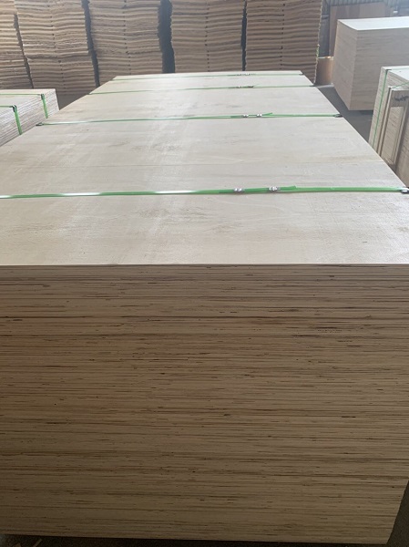 Ván CDX Plywood