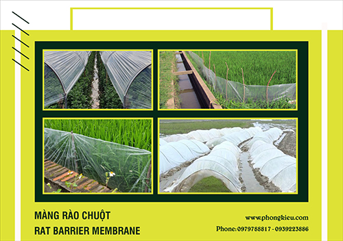 Màng rào chuột