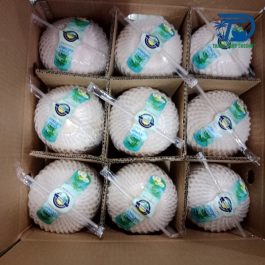 Dừa xanh xuất khẩu