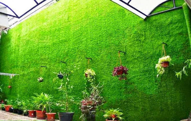 Trang trí mảng tường xanh lá nhựa