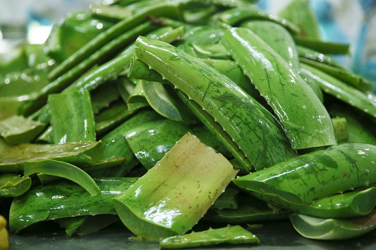 Lá nha đam tươi