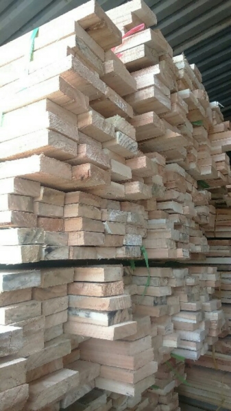 Gỗ xoan