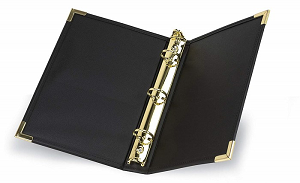 Bìa Còng, Bìa Folder