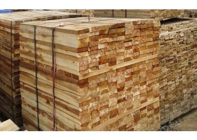Gỗ tràm nguyên liệu